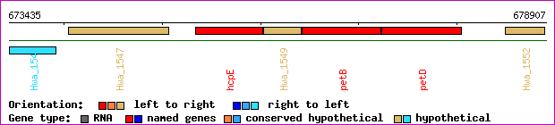 gene map