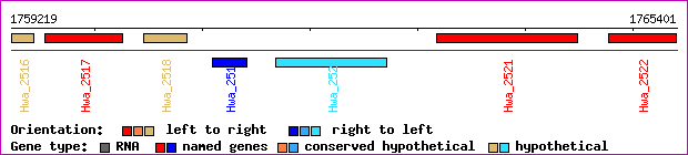 gene map