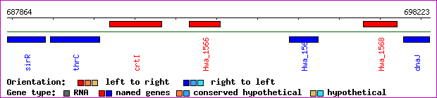 gene map