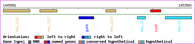 gene map