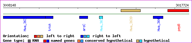 gene map