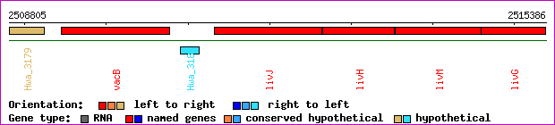 gene map