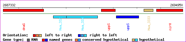 gene map