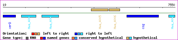 gene map