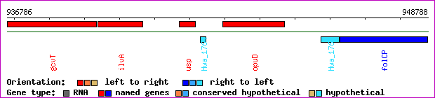 gene map