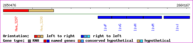 gene map
