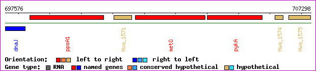 gene map