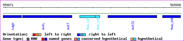 gene map