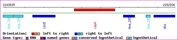 gene map