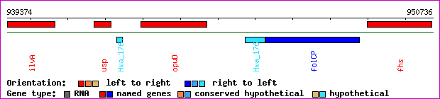 gene map