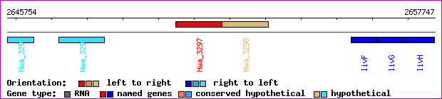 gene map
