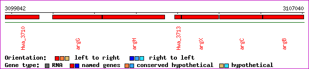 gene map