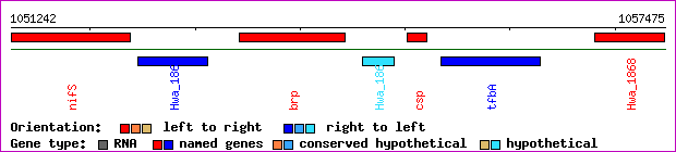 gene map
