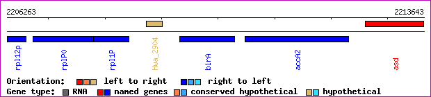 gene map