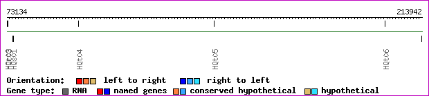 gene map