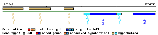gene map