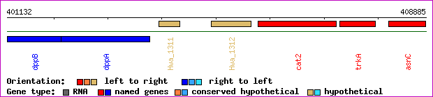 gene map