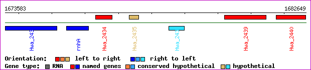 gene map