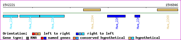 gene map