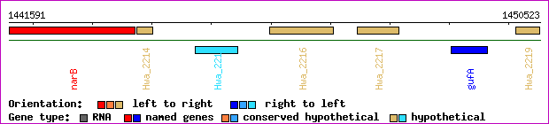 gene map