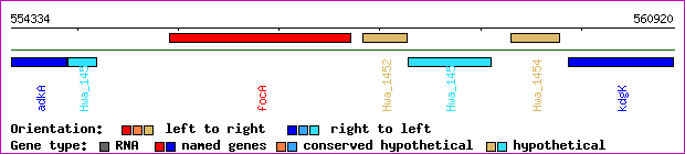 gene map