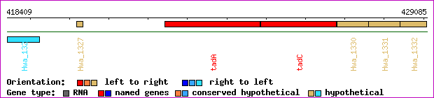 gene map