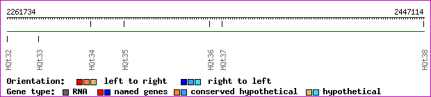 gene map