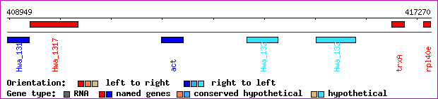 gene map