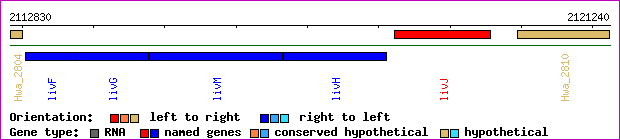 gene map