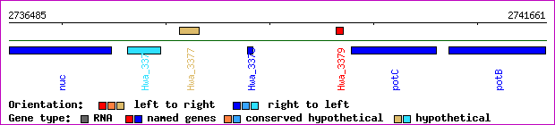 gene map