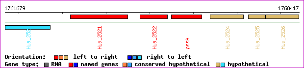 gene map