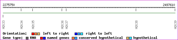 gene map