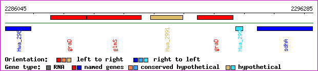 gene map