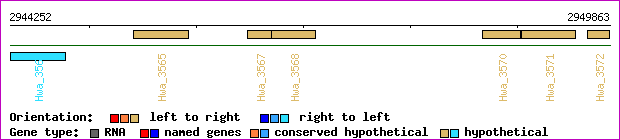 gene map