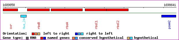 gene map