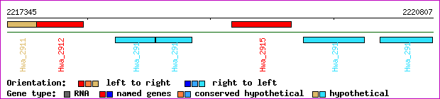 gene map