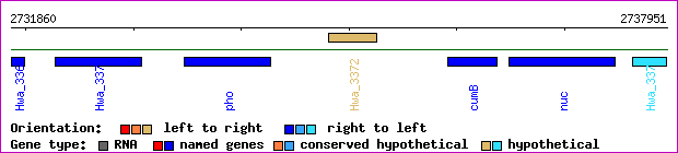 gene map