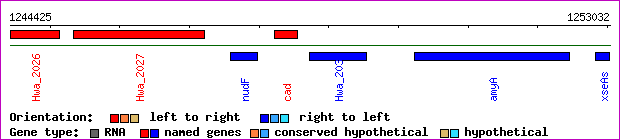 gene map