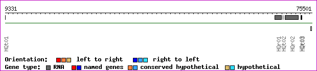 gene map