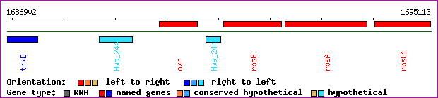 gene map