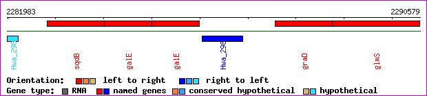 gene map