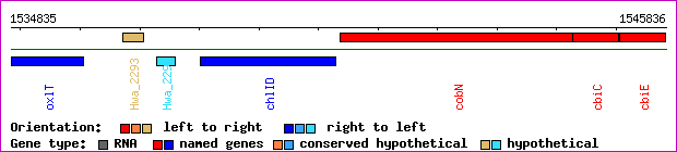 gene map