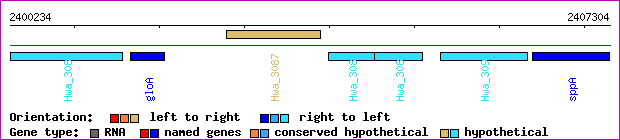gene map