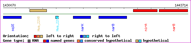 gene map