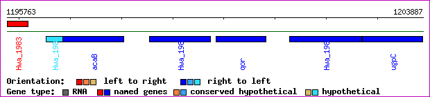 gene map