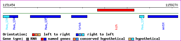gene map