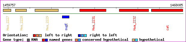 gene map