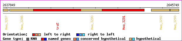 gene map