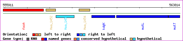 gene map