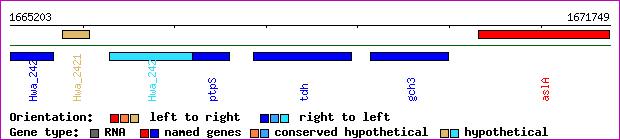 gene map